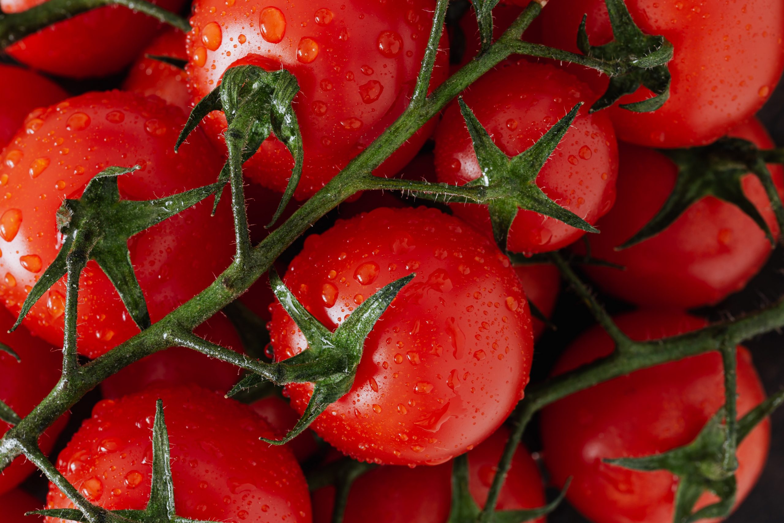 Cómo quitar manchas de tomate y no dejar ni huella